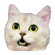 Cat Reactions animated emoji 2