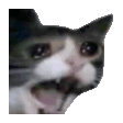 Crying Cat Reactions animated emoji 2