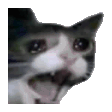 Crying Cat Reactions animated emoji 6
