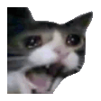 Crying Cat Reactions animated emoji 5
