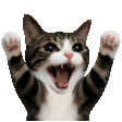 Crying Cat Reactions animated emoji 3