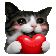 Crying Cat Reactions animated emoji 4