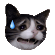 Crying Cat Reactions animated emoji 8