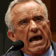 Rage Folder animated emoji 2