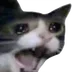 Click to make emojis with: A cat screaming